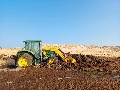 Sumar Cádiz celebra el plan de gestión del alga invasora 