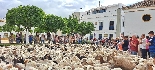 Tomares se convertirá en el epicentro de la conservación de la naturaleza 