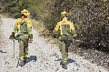 Activo un incendio forestal en A Coruña