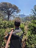 El incendio en Conil, ya estabilizado, afecta a dos viviendas con cincuenta desalojadas