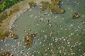 Unesco quiere que el acuífero de Doñana no entre en la Lista del Patrimonio en Peligro