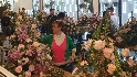 Agricultura de Chipiona informa de que quedan plazas para el Taller de Arte Floral 