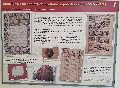 El Hospitalito acoge una exposición temporal sobre los expedientes de nobleza