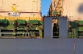 Intervenidos 1.300 kilos de coca en un portacontenedores en aguas de la Bahía de Cádiz