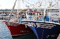 Las cofradías instan a Europa a 