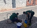 El Consistorio declara la guerra total a las cucarachas
