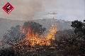 Diez medios aéreos y cien efectivos luchan contra el incendio de Alicante