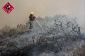 Hasta ocho medios aéreos se incorporarán durante la mañana para combatir un incendio