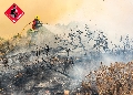 El incendio forestal de Ibi y Alcoi afecta a unas 185 hectáreas