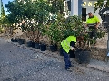 El Plan de Fomento del Empleo Agrario generará más de 21.200 empleos en Jaén