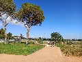 Mairena del Aljarafe impulsa la segunda fase de su Parque Central 