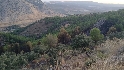 Extinguido el incendio forestal declarado en el paraje Cortijo Guerrero de Antequera 