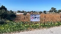 Urbanismo precinta en Chiclana una nueva parcelación sin licencia en suelo rústico