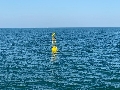 Sancti Petri contará con una boya inteligente para vigilar la calidad del agua 