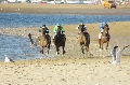 Dados a conocer los caballos del Primer Ciclo de Carreras