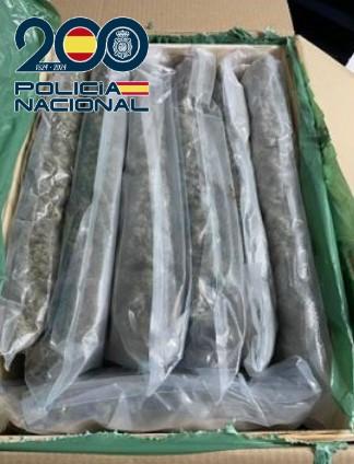 La marihuana incautada.