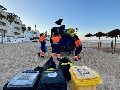 Ayuntamiento de Rota resalta la labor de los operarios por el mantenimiento de las playas