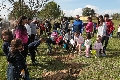 Asociaciones de padres podrán solicitar ayudas municipales hasta el próximo 19 de agosto