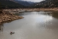 Gobierno valenciano aprueba el plan de reconstrucción tras la dana: 